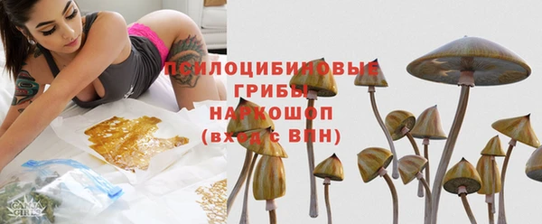 дмт Володарск